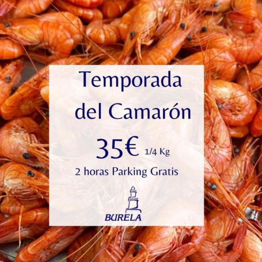 restaurante-burela-temporada-camaron